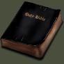 KJV Bible